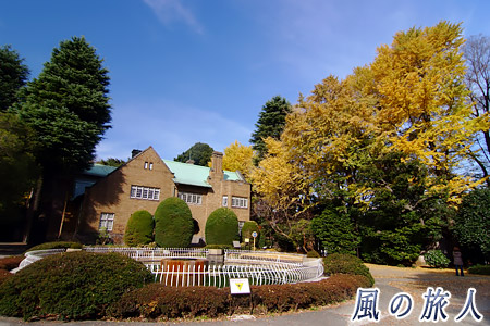 静嘉堂文庫の紅葉の写真