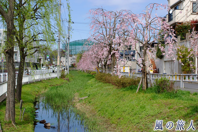 岡本　丸子川親水公園の写真