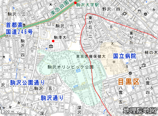 駒沢公園周辺の地図（国土地理院）