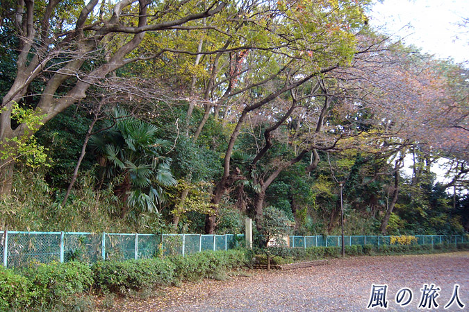 亀甲山古墳（多摩川台公園・田園調布）の写真