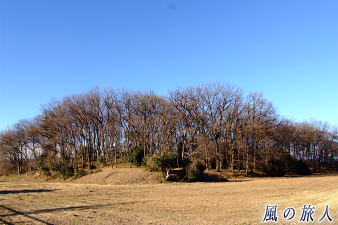 第六天塚古墳（喜多見）の写真